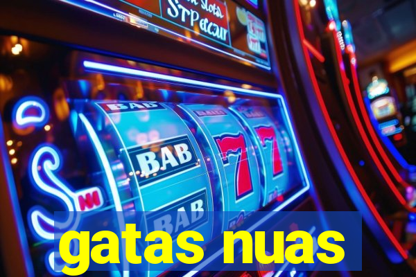 gatas nuas